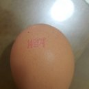 명계농장 이미지