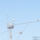 반계초등학교 | 가을여행지 추천 원주반계리 은행나무 방문후기