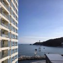 유림전자 | 부산 여행 숙소 엘모멘토 송도 카페 EL16.52 후기로 보는 특징은?