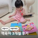 차차래빗 | 3개월 동안 직접 써본 블루래빗 토이북 풀세트 솔직후기 쉬운 책육아