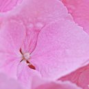 사랑울타리 이미지