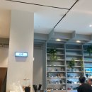 엠티엘 | [동탄 카페] mtl 동탄 롯데백화점 보난자 커피, 트렌디한 소품 맛집 엠티엘
