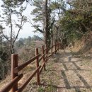 꽃섬투어 이미지