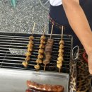 961006 | 타이동여행 타이동 투어버스 후기 하오싱 버스 예약 방법