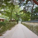 마을 전체가 국가민속문화유산인 아산 외암민속마을 500년온 마을이 국가유산인 '이 씨 집성촌'… 5.3km...