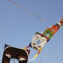제41회 부산 국제 연날리기 축제 (2011.03.26 ~ 2011.03.27) 이미지