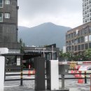 유림-1098 이미지