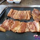 정우배농장 이미지