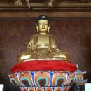 진주 연화사 목조 아미타여래좌상 이미지