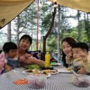 도토리캐빈 이미지