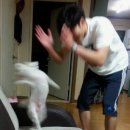 펄스온 - 중구 세종대로18길 14 | 펄스온