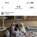 두리멍쉴 애견유치원 네이버블로그