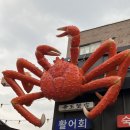 크랩회피쉬 | 생각보다 구성 괜찮았던 서울대게맛집 / 크랩회피쉬 장충동본점
