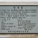우도 등대 티스토리