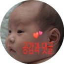 돈오락쪽갈비조례점