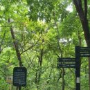 일자산자연공원(허브천문공원) 이미지