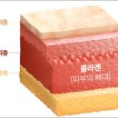㈜젤텍 이미지