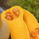 양자농장 이미지