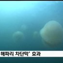 명보수산 이미지