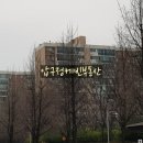 압구정-110 네이버블로그