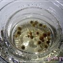 구성식당 이미지