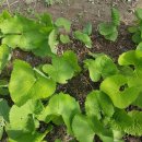 방우농장 이미지