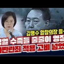 윤석열 수족들 줄줄이 영장 군사반란죄 적용 큰 고비 넘었다 이미지