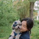 스튜디오산책 이미지