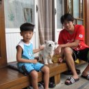 아이좋아민박 이미지