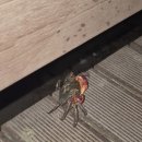 해비치펜션 | 영흥도 펜션, 뷰맛집 펜션 &#39;해비치펜션&#39; 후기 !