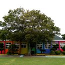 애월초등학교 이미지