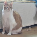 재림어탕국수 | 금주 64일차 애주가, 일하고 먹다가 끝난 한주