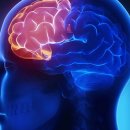 닥터수학학원 이미지