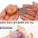 샬롯 (종근)심고 남았어요~5분 이미지