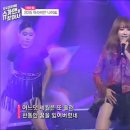 아라비안나이트 데일리안