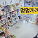 멍멍까까 이미지