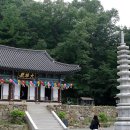 장경사 - 1167 | 장경사