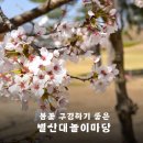 양주별산대놀이마당 공연장 | 서울 근교 벚꽃 봄꽃 명소, 양주시 별산대 놀이마당 공연장 산책로