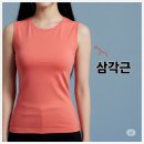 닥터망고의원 | 팔뚝보톡스 / 허벅지보톡스 / 승모근 보톡스 / 요건 또 뭐지?