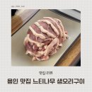 생오리 | 용인 수지구 맛집 생오리로스구이가 맛있는 느티나무 생오리구이 후기