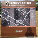 괴강관광지 축구장 | [충북 괴산]괴강 국민여가 캠핑장, 놀이터/박물관 가족캠핑장