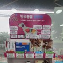 푸른나무약국 이미지