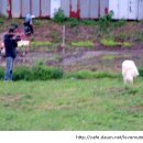 속담농장 이미지