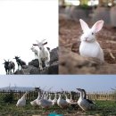 인성리마을회관 | 제주도 관광지도 #6