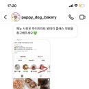 견제과 이미지