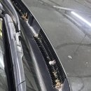 소하세차장 이미지