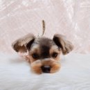 개인의 공간, 쉼. 이미지