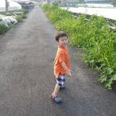 소가 행복한 농장 이미지