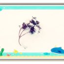 은아정 | 정조나 마우스패드로 대체하여 사용할 수 있다~~!