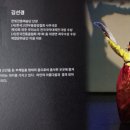 쌍금